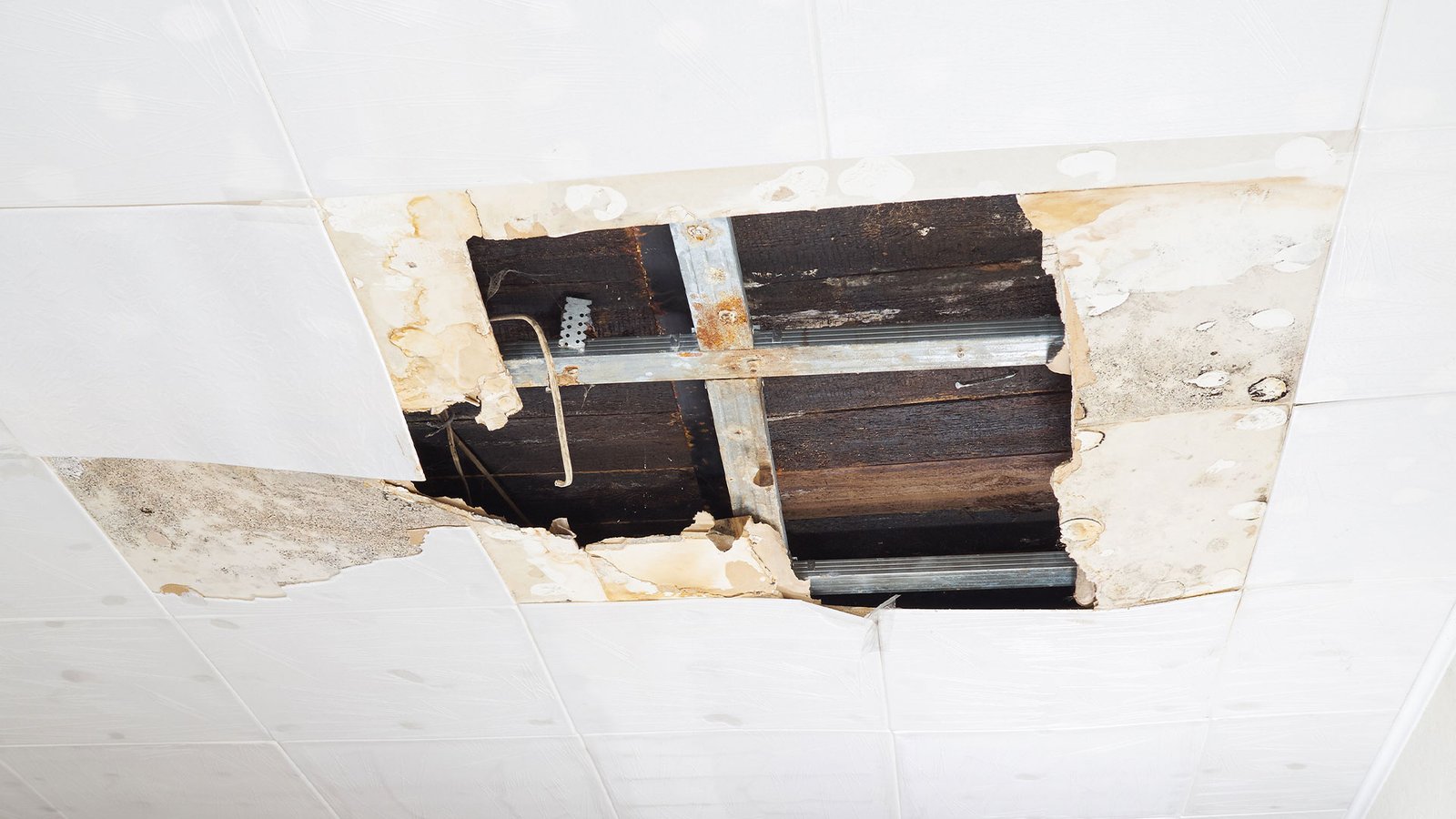 2 Children Injured After Ceiling Collapse in Bronx