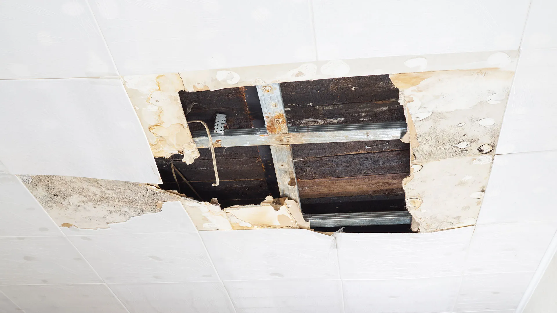 2 Children Injured After Ceiling Collapse in Bronx