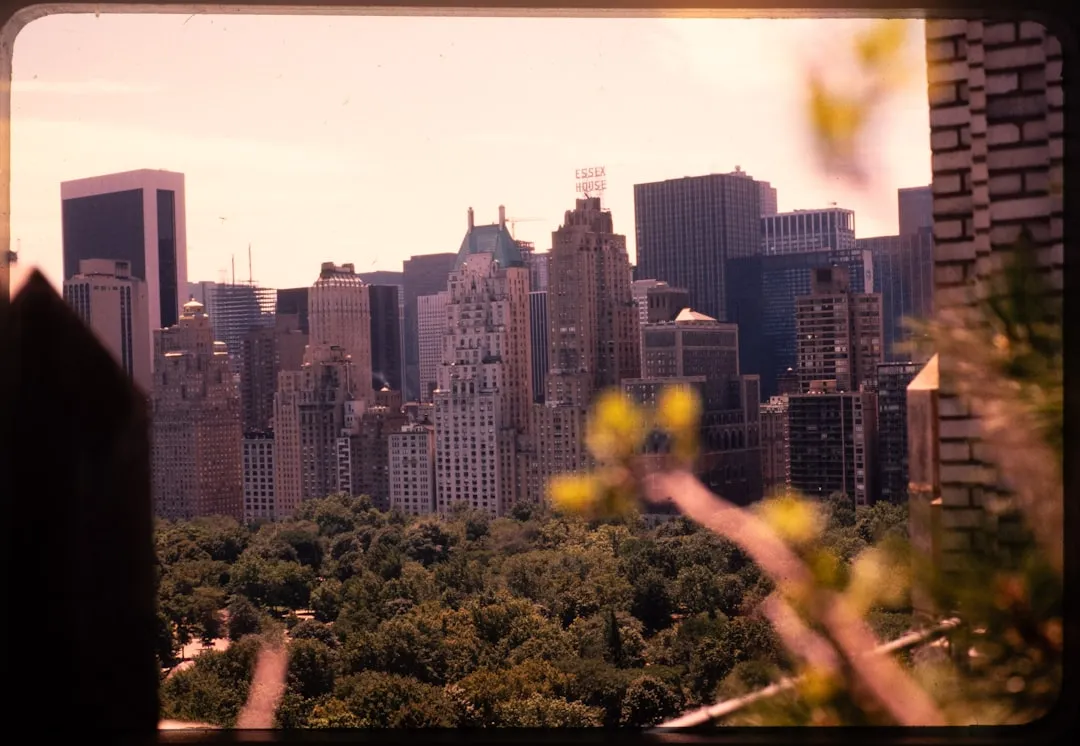 Hurt in Central Park? Your NYC Injury Lawyer Questions Answered