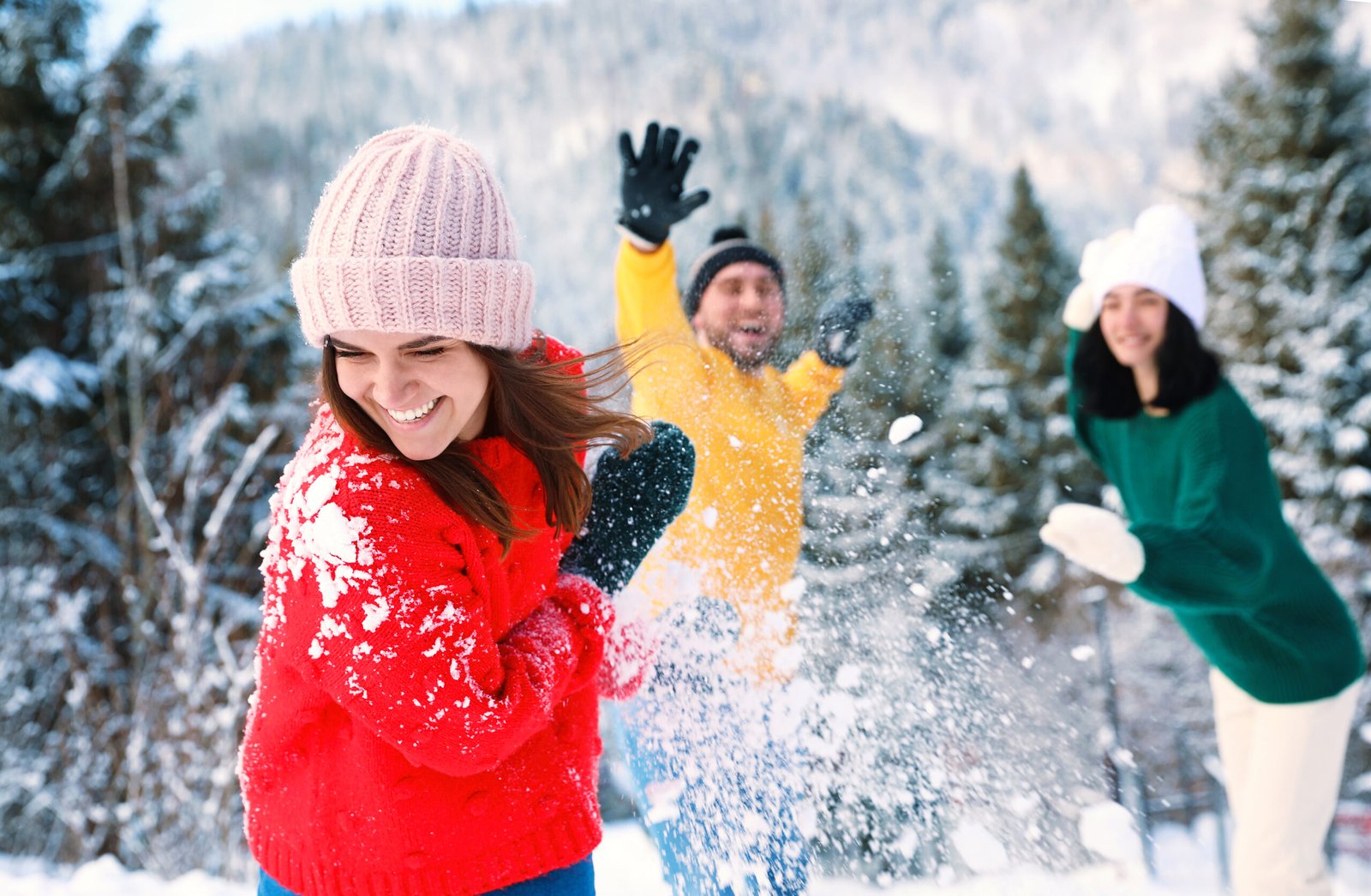 New York Personal Injury Lawyers snowball fight nyc